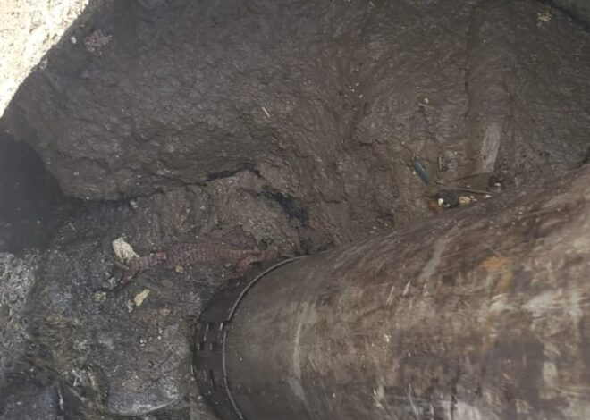 Gobierno Municipal atiende necesidades de drenaje en Hacienda del Puente