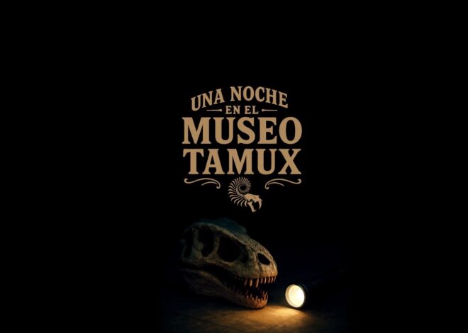 Invitan a disfrutar de «Una noche en el museo» en el Tamux