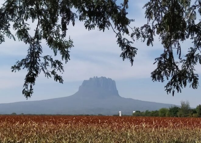 Analiza Tamaulipas estrategias para fortalecer el turismo en comunidades rurales