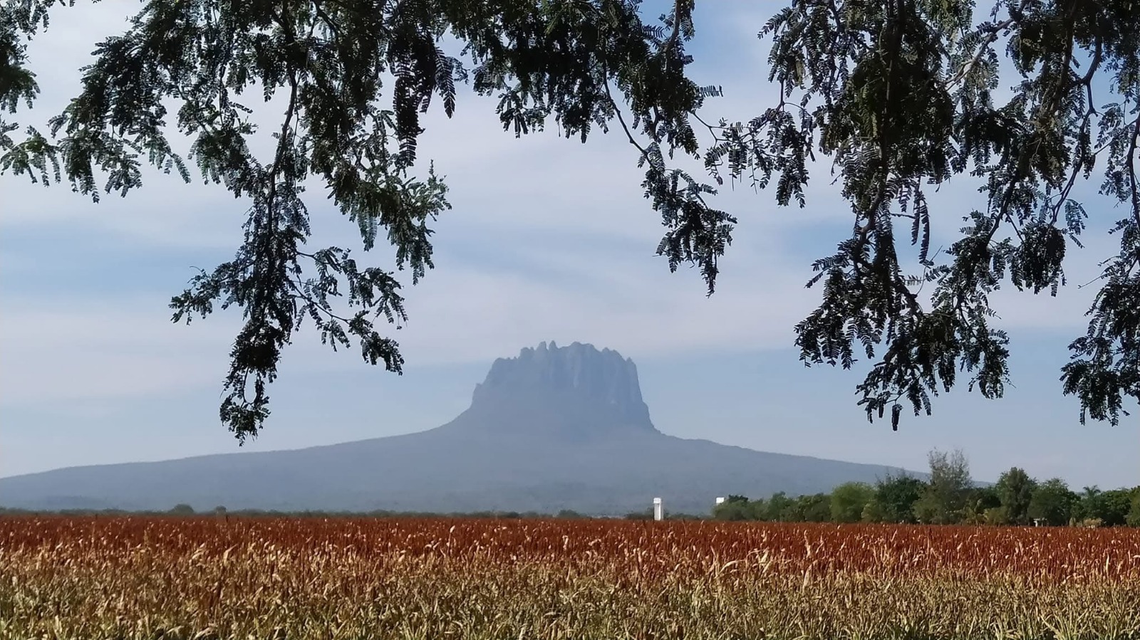 Analiza Tamaulipas estrategias para fortalecer el turismo en comunidades rurales