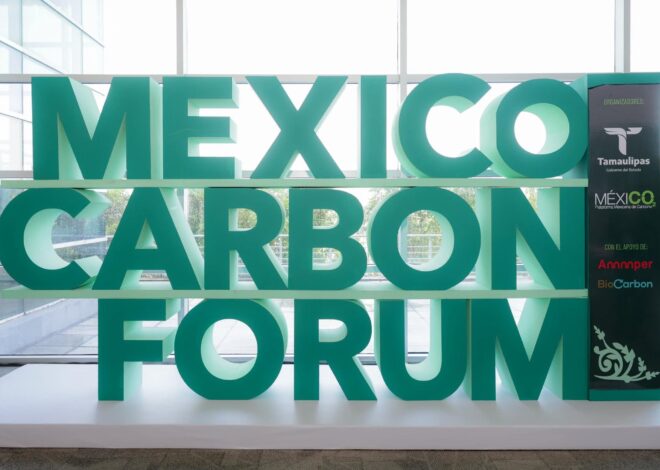 Destaca Mónica Villarreal compromiso ambiental de Tampico en foro internacional