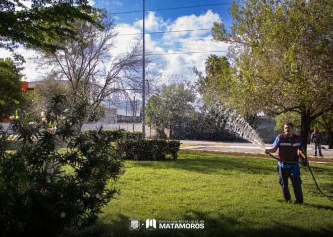 Gobierno de Beto Granados realiza limpieza en Integración Familiar, Niños Héroes, Buena Vista y más sectores