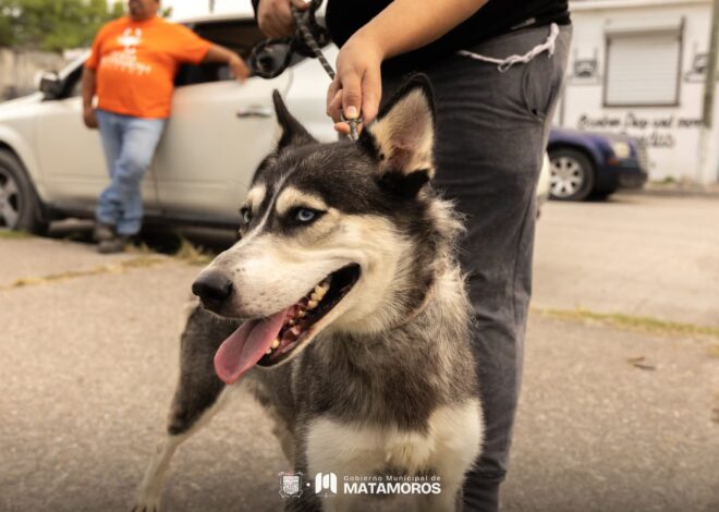 Gobierno de Beto Granados impulsa cuidado animal en la Colonia Popular