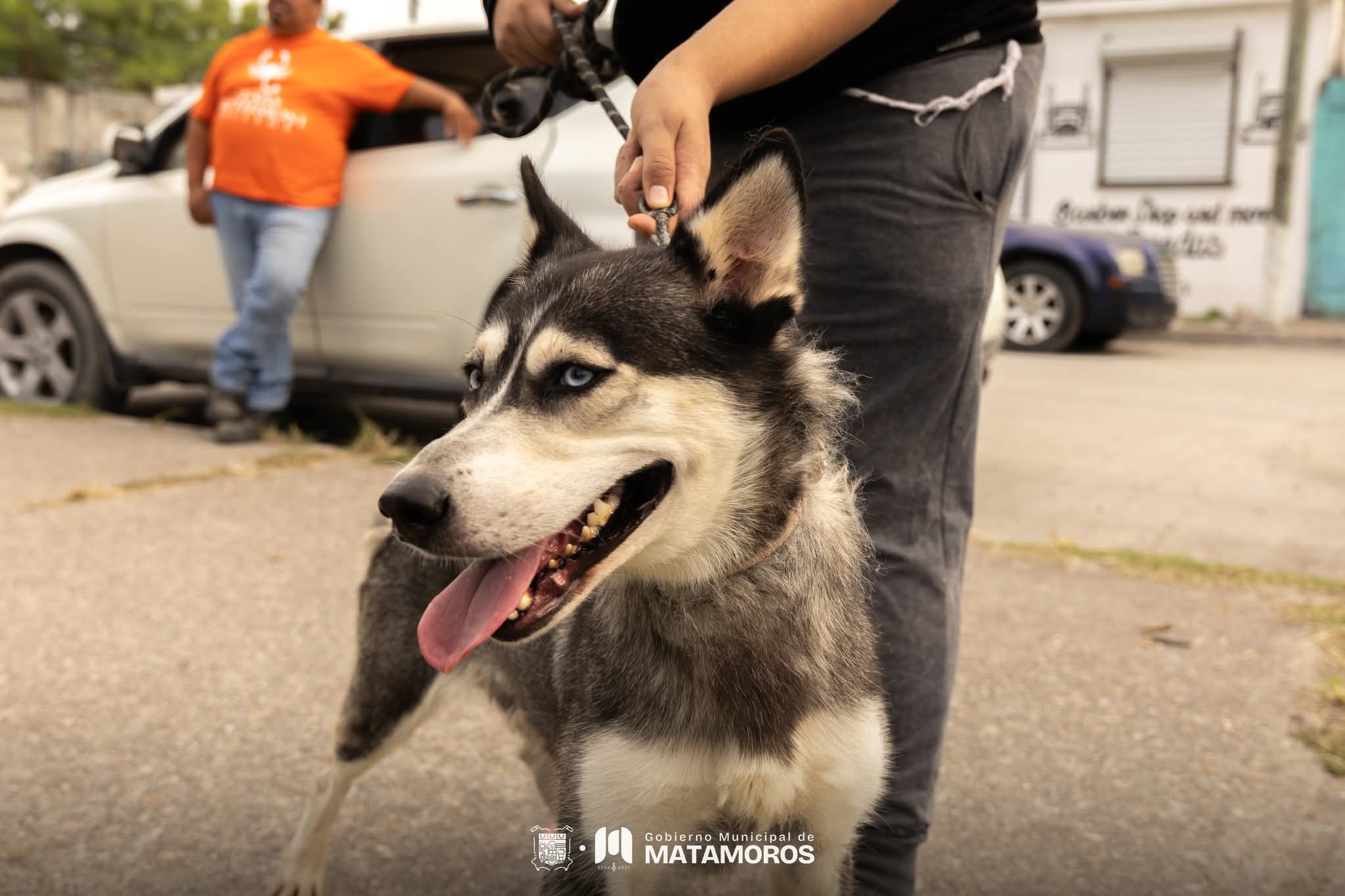 Gobierno de Beto Granados impulsa cuidado animal en la Colonia Popular