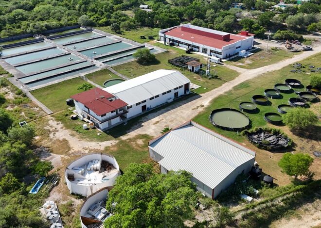 Fortalece Gobierno del Estado infraestructura educativa en la Universidad Tecnológica del Mar de Tamaulipas Bicentenario