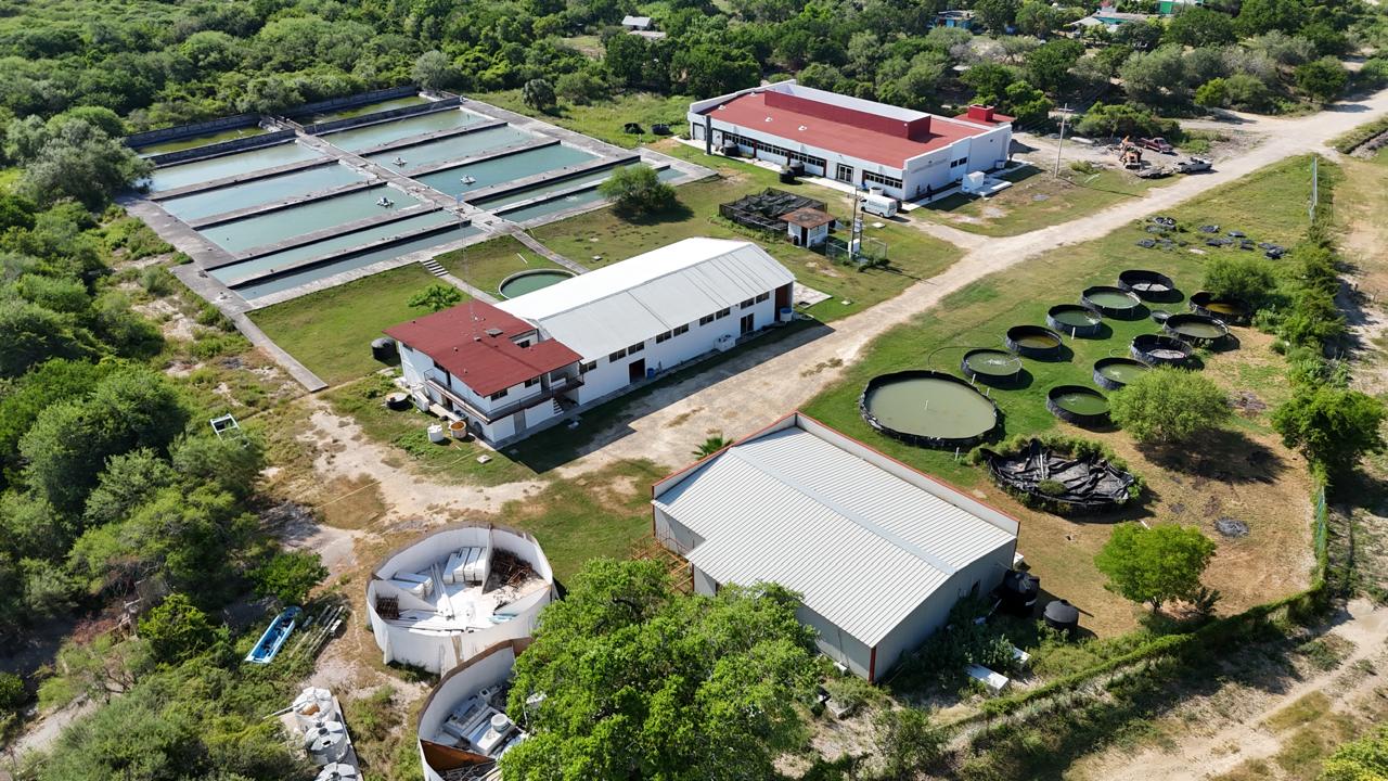 Fortalece Gobierno del Estado infraestructura educativa en la Universidad Tecnológica del Mar de Tamaulipas Bicentenario