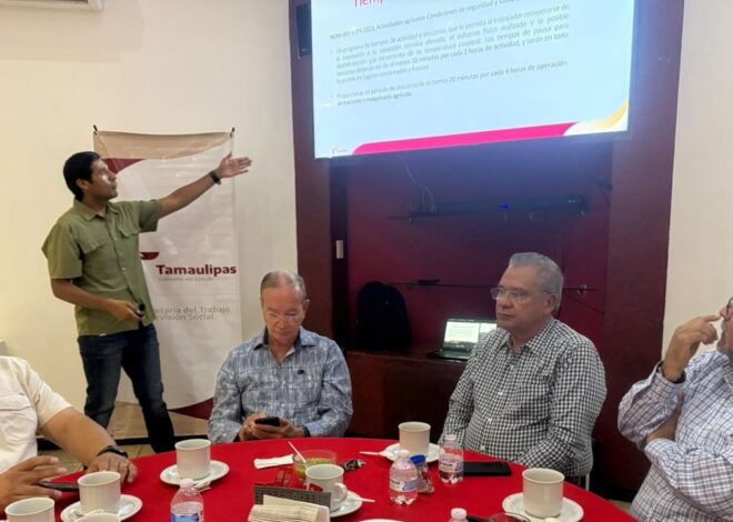 Impulsa STPS aplicación de la Ley Silla en el sector de la construcción