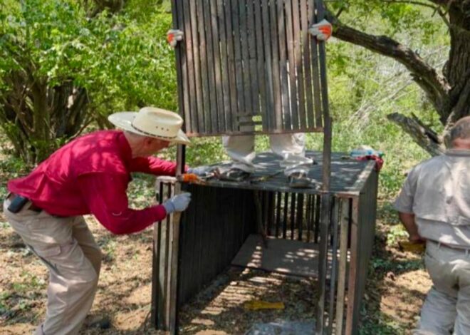 Promueve Gobierno de Tamaulipas programas de conservación de fauna