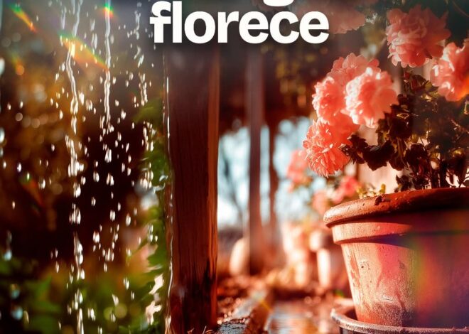 Gobierno de Beto Granados exhorta a prevenir el dengue desde casa