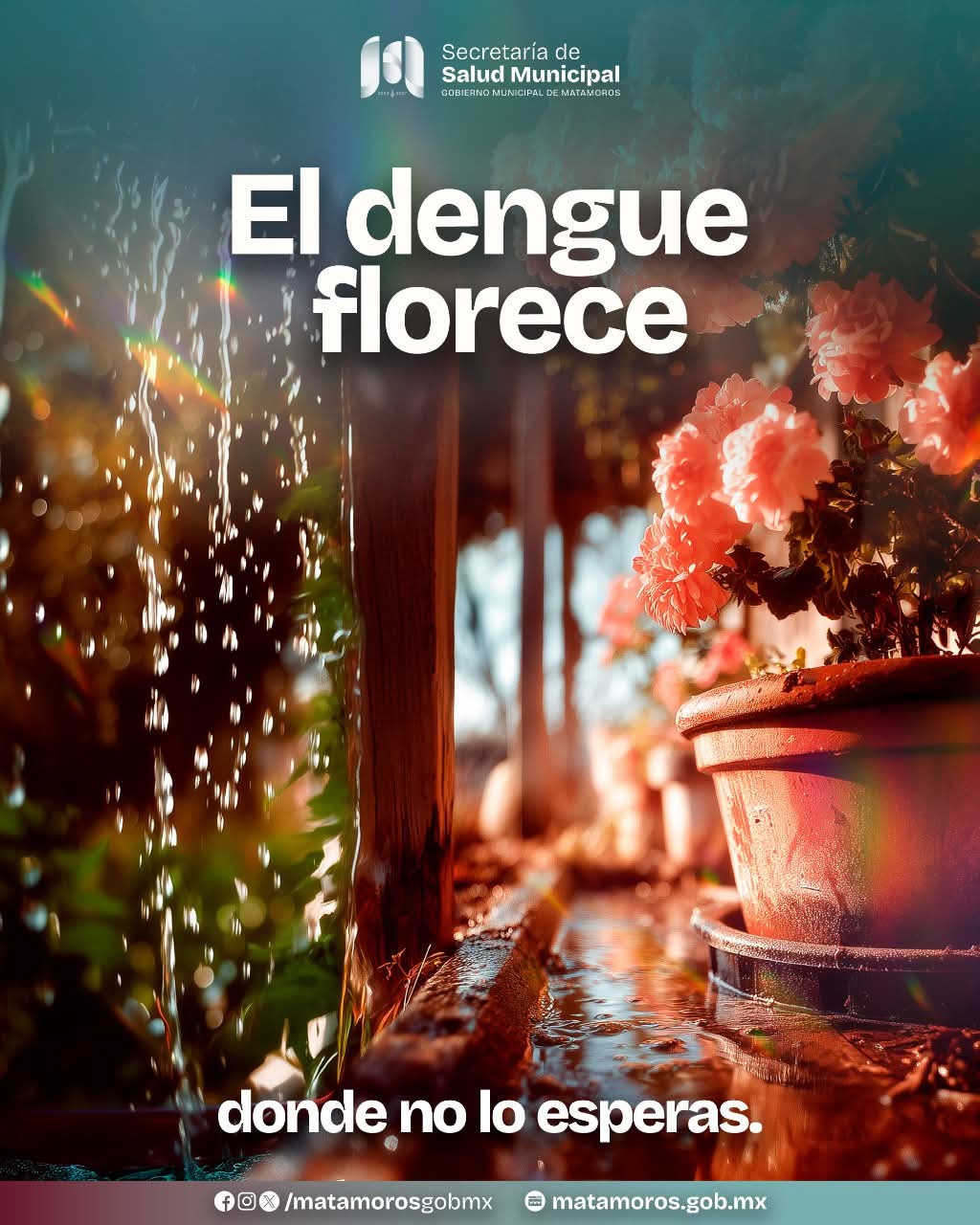 Gobierno de Beto Granados exhorta a prevenir el dengue desde casa