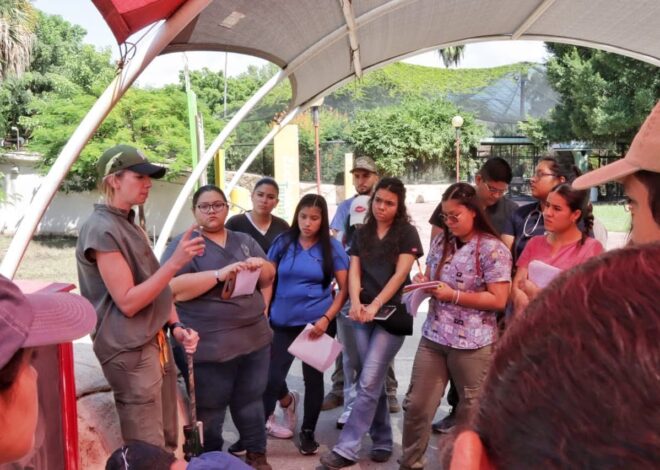 Destaca Zoológico Tamatán como papel clave de la medicina veterinaria en ambientes controlados
