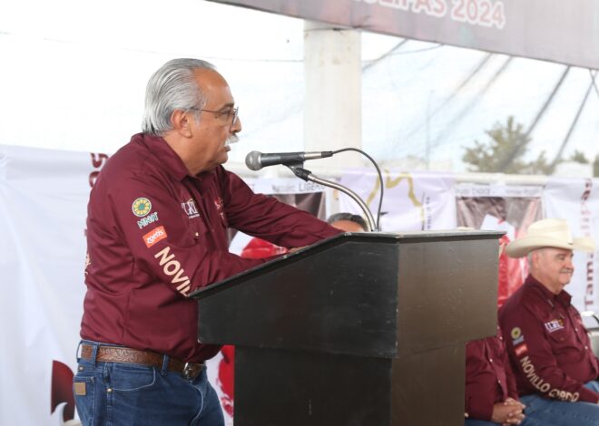 Feria Tamaulipas será sede del Segundo Concurso del Novillo Gordo