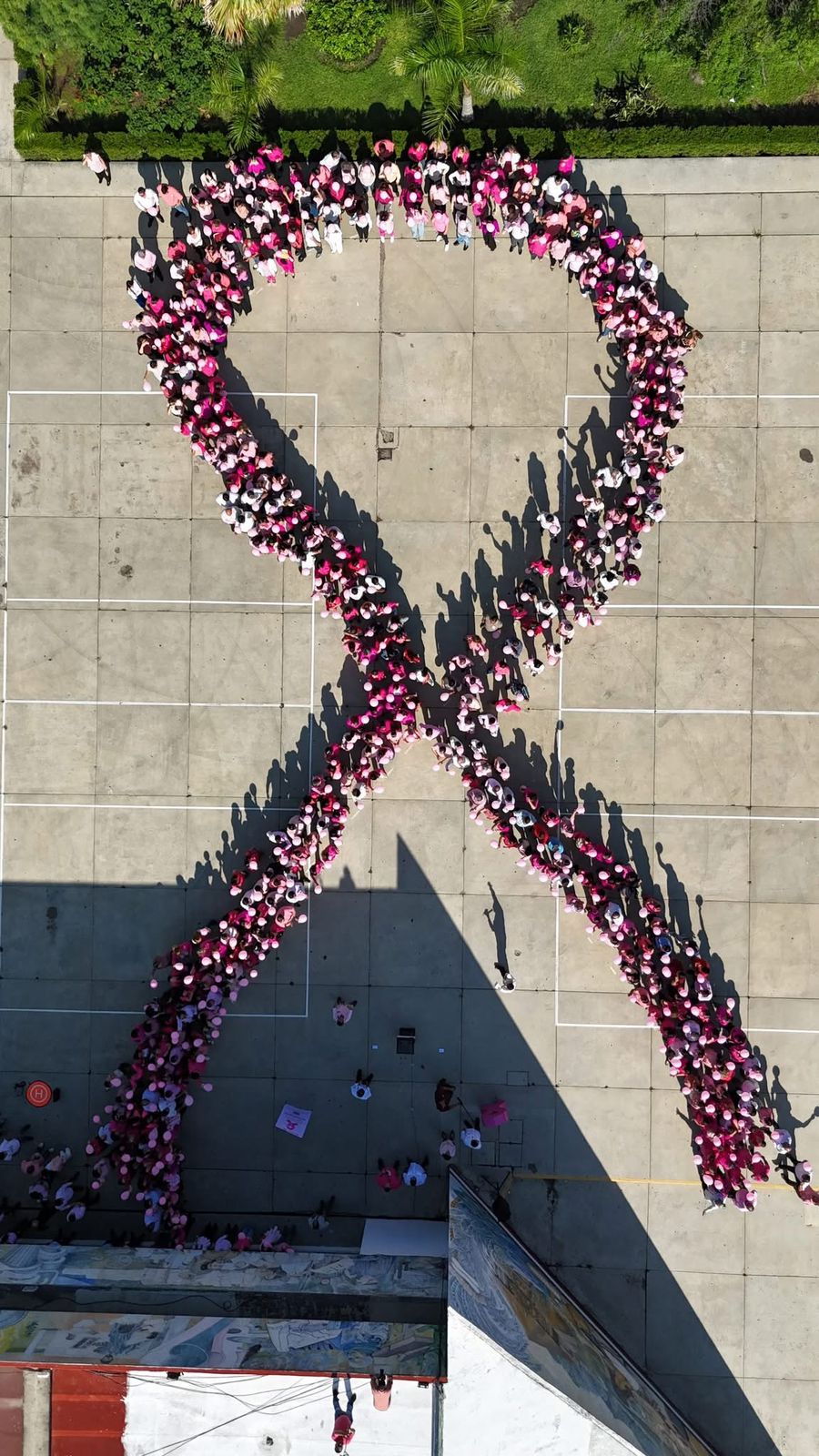 Se suma sector educativo a la lucha contra el cáncer de mama