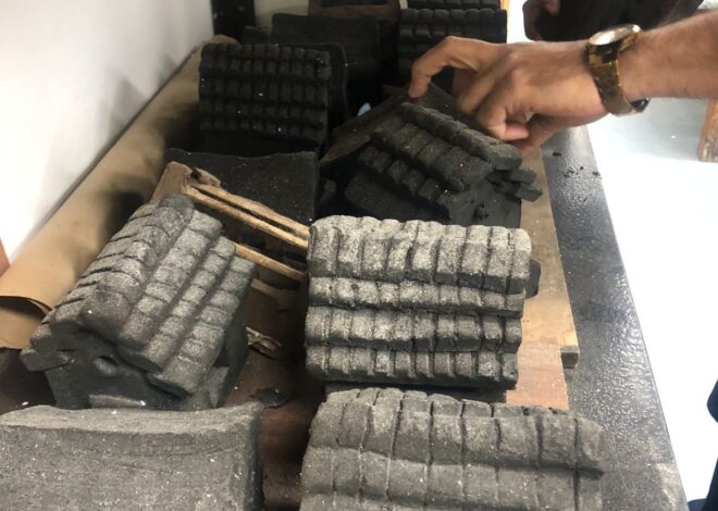 Impulsa Museo Tamux refugios para insectos y jardines polinizadores