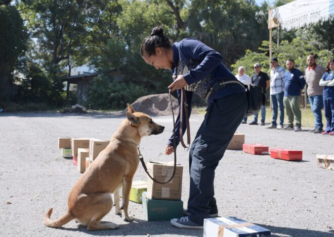 Refuerza Gobierno de Tamaulipas sanidad pecuaria con caninos especializados