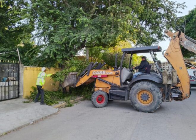 Refuerza Gobierno Municipal acciones preventivas contra el dengue en colonias de Tampico