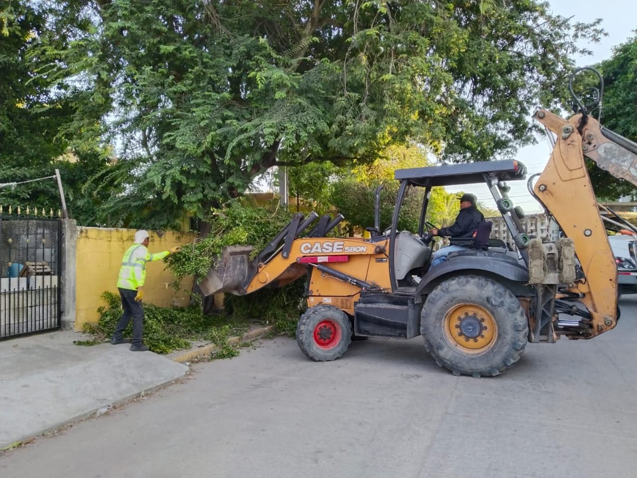 Refuerza Gobierno Municipal acciones preventivas contra el dengue en colonias de Tampico