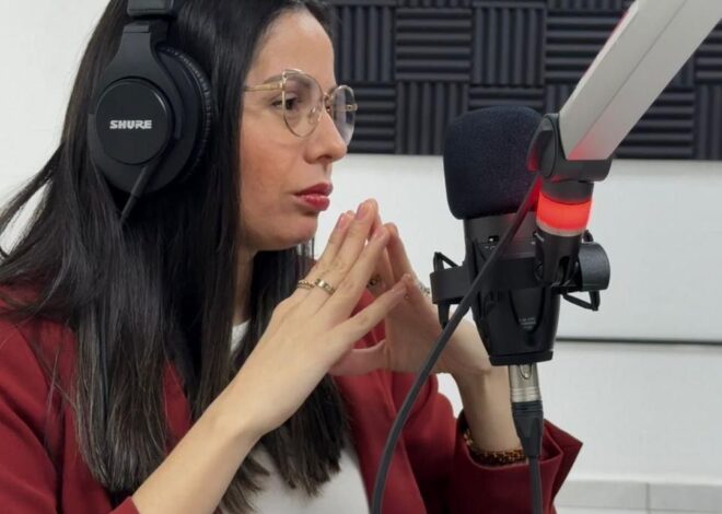 Promueve SIPINNA Tamaulipas estrategias de protección ante la violencia vicaria en coordinación con el Instituto de las Mujeres