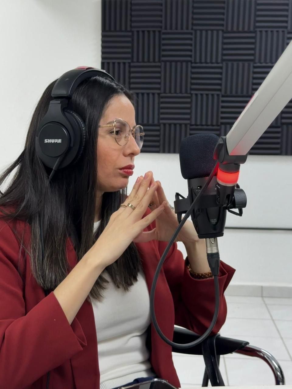 Promueve SIPINNA Tamaulipas estrategias de protección ante la violencia vicaria en coordinación con el Instituto de las Mujeres