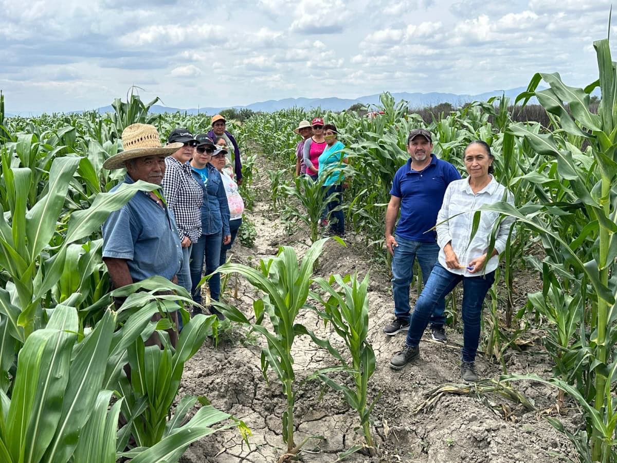 Nuevas estrategias productivas fortalecen la economía rural en Tamaulipas
