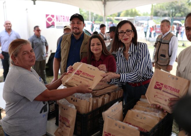 DIF Tamaulipas acerca alimentos saludables y a bajo costo a las familias de San Fernando