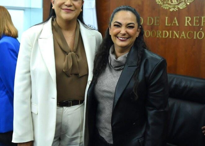 Los programas de bienestar son derechos y garantizan ingreso básico y una vida libre de carencias: Olga Sosa