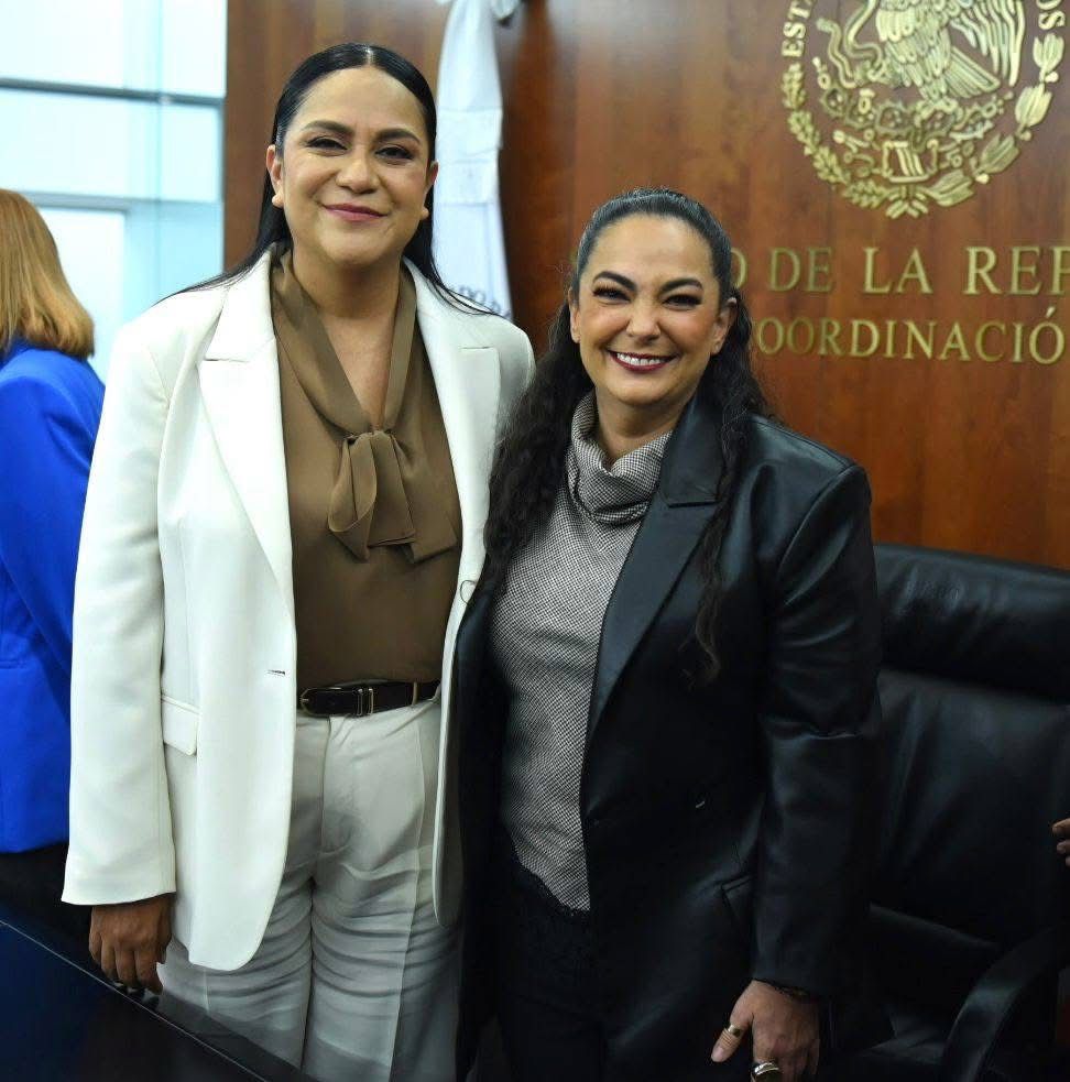 Los programas de bienestar son derechos y garantizan ingreso básico y una vida libre de carencias: Olga Sosa