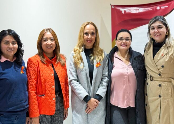 Dirige IMT Plática “Acciones clave para solicitar atención en casos de violencia de género” a servidoras públicas del IETAM