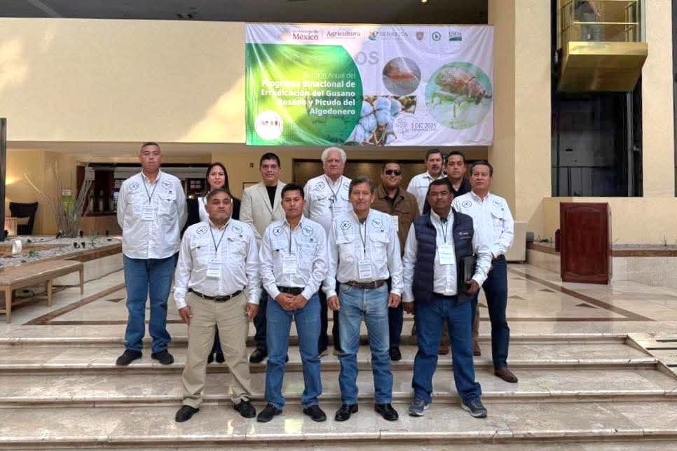 Participa Tamaulipas en reunión binacional para fortalecer la sanidad del algodón