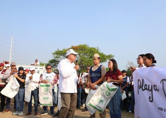 Encabeza Armando Martínez jornada de preservación de playa Dunas Doradas