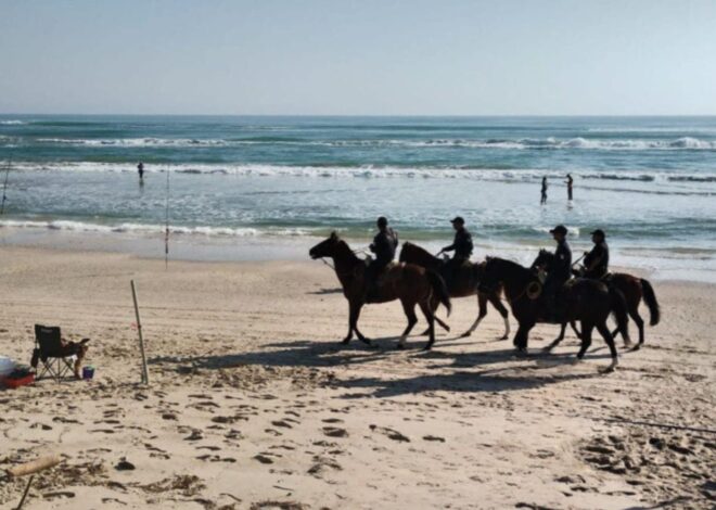 Agrupamientos Policiales de la Guardia Estatal amplían su alcance con operativos que impactan a miles de tamaulipecos