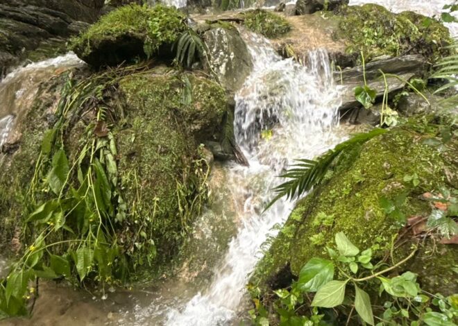 Invita Turismo a visitar el municipio de Hidalgo