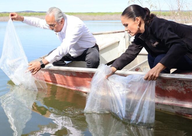 Promueven repoblamiento pesquero en Tamaulipas con la liberación de 8 mil alevines