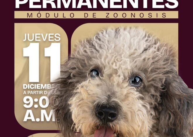 Beto Granados acerca servicios de salud animal al Tamul Lomas de San Juan