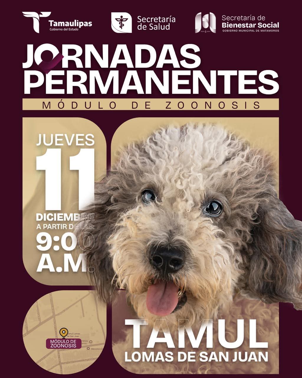 Beto Granados acerca servicios de salud animal al Tamul Lomas de San Juan