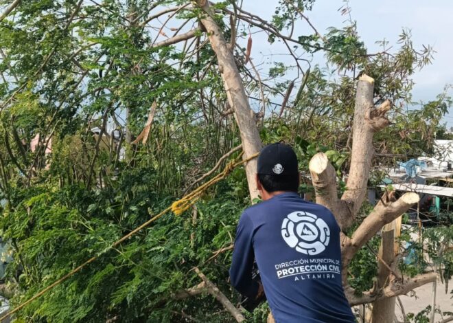 Atiende Gobierno de Altamira afectaciones por frente frío