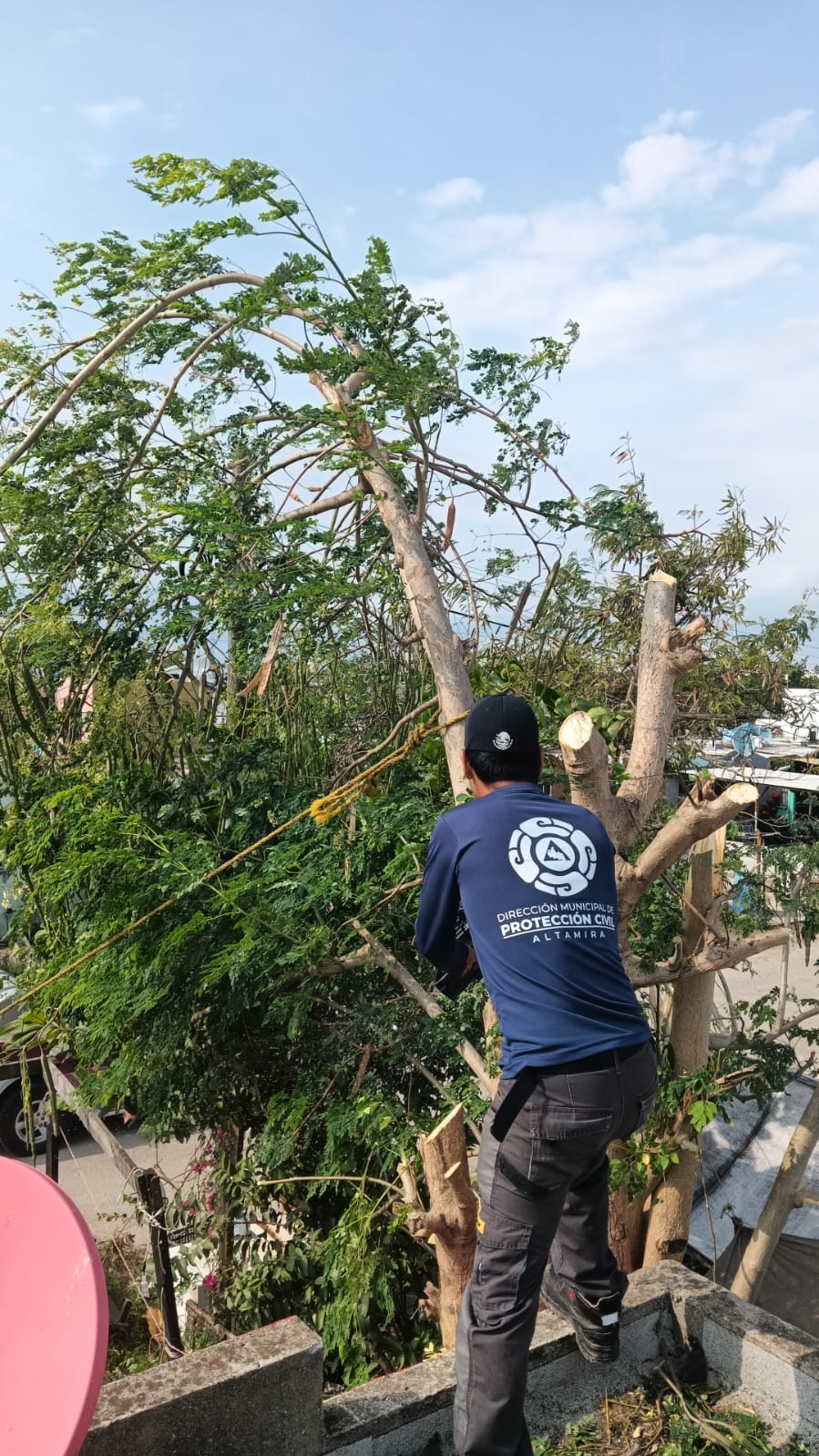 Atiende Gobierno de Altamira afectaciones por frente frío
