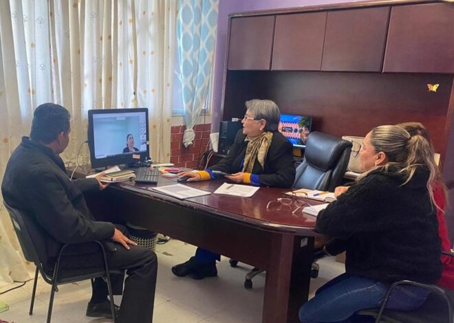 Asiste DEMA a reunión virtual “Instrumentos Normativos” para consolidar Reglamento Interno