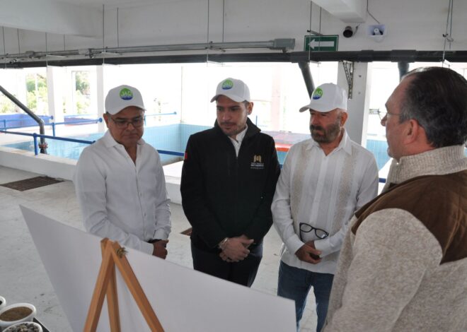 Supervisa SRHDS avances en la rehabilitación de la Planta Potabilizadora Número 1 de Matamoros