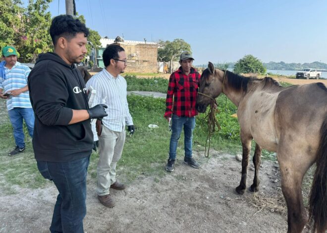Mónica Villarreal Anaya refuerza acciones de salud animal en Tampico