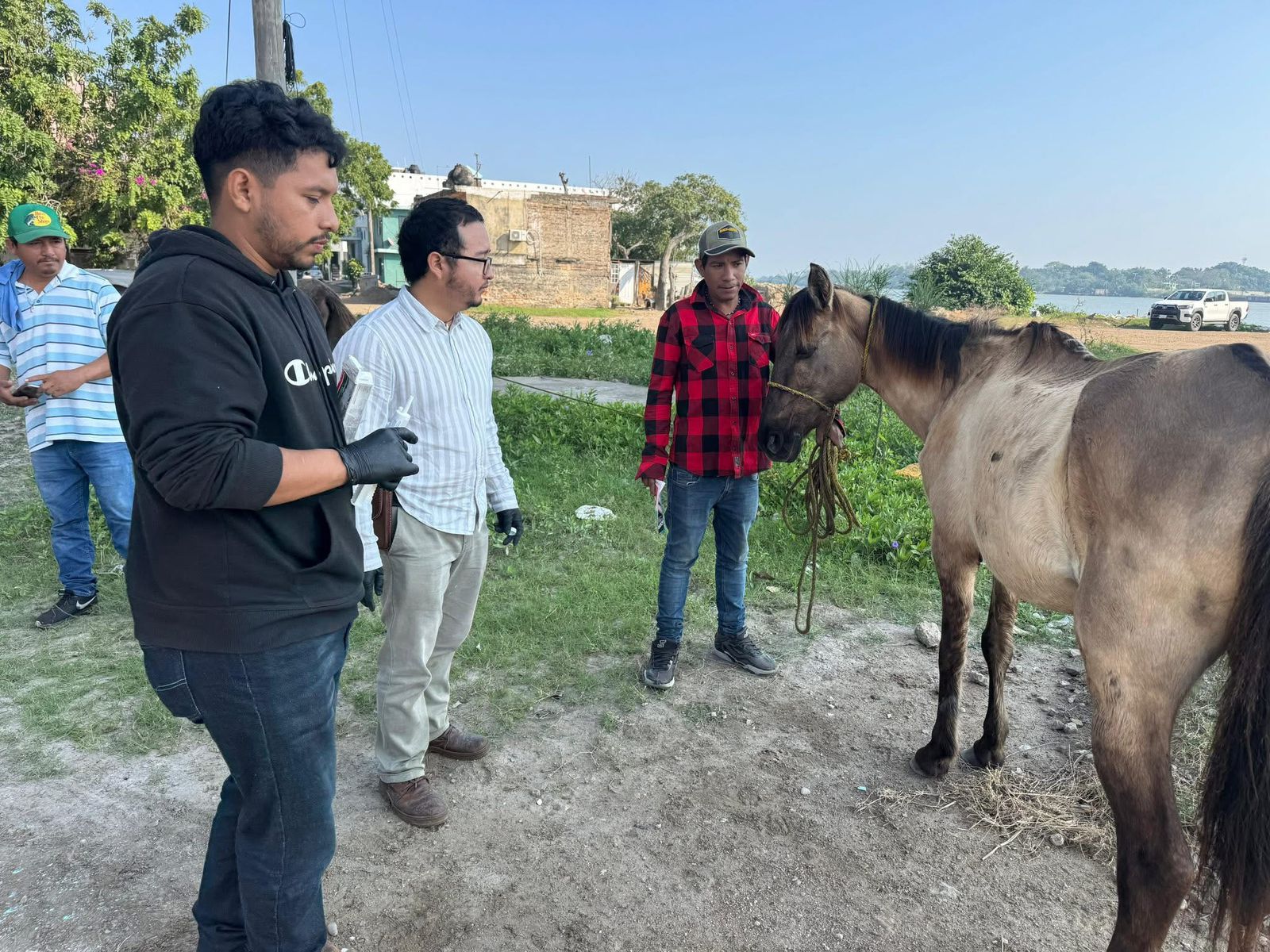 Mónica Villarreal Anaya refuerza acciones de salud animal en Tampico