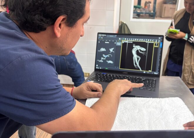 Valía Energía y Gobierno de Tamaulipas fortalecen la atención al jaguar: CPBT