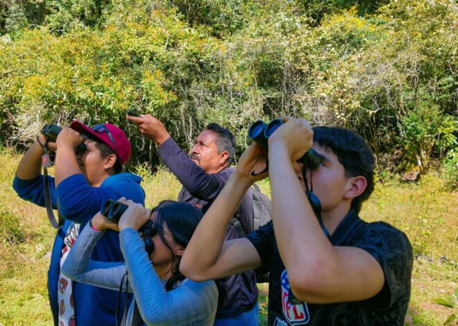 Avanza el turismo social en Tamaulipas: Benjamín Hernández