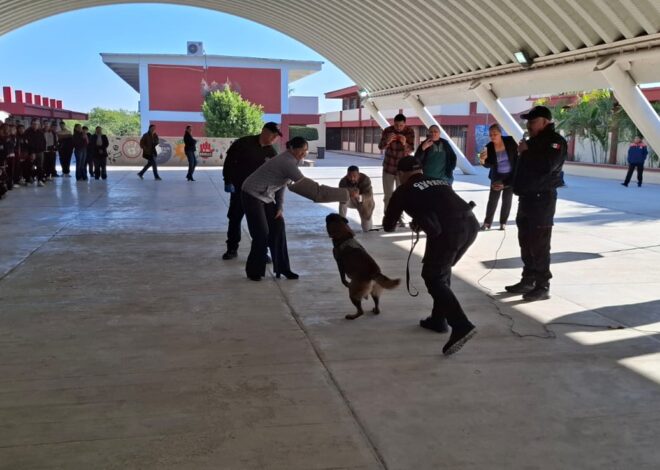 Guardia Estatal refuerza seguridad escolar con binomio canino
