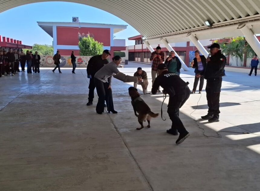 Guardia Estatal refuerza seguridad escolar con binomio canino