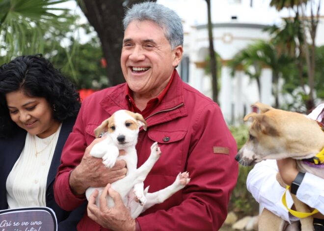 Todo un éxito la Feria de Adopción “ADOPTAFEST” en Altamira