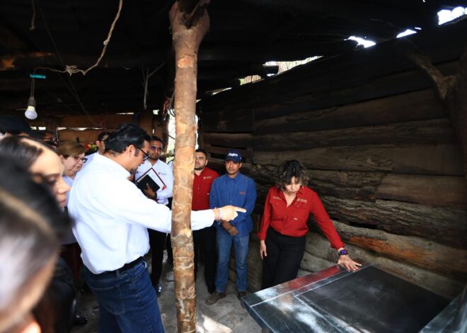 nicia SEDENER Programa de Estufas Eficientes de Leña junto al Programa Electrificación al 100%