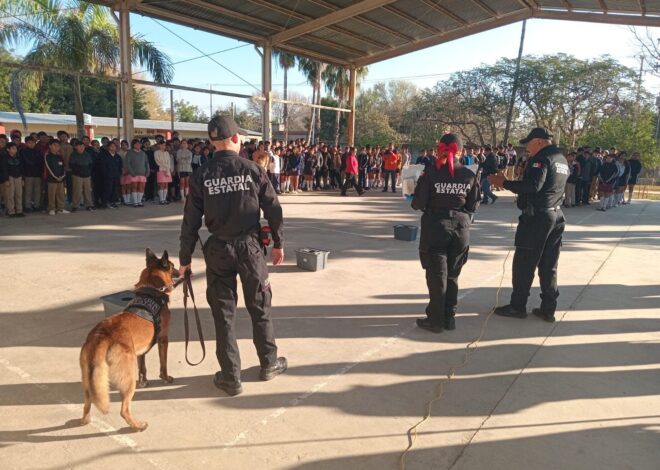 Con binomio canino antidrogas la Guardia Estatal refuerza la prevención en escuelas