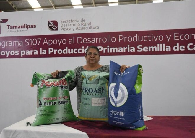 Productores podrán acceder a apoyos de semilla para cultivos estratégicos
