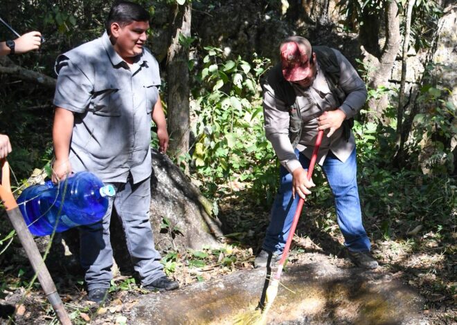 Refuerzan protección de fauna silvestre ante ola de calor en Tamaulipas